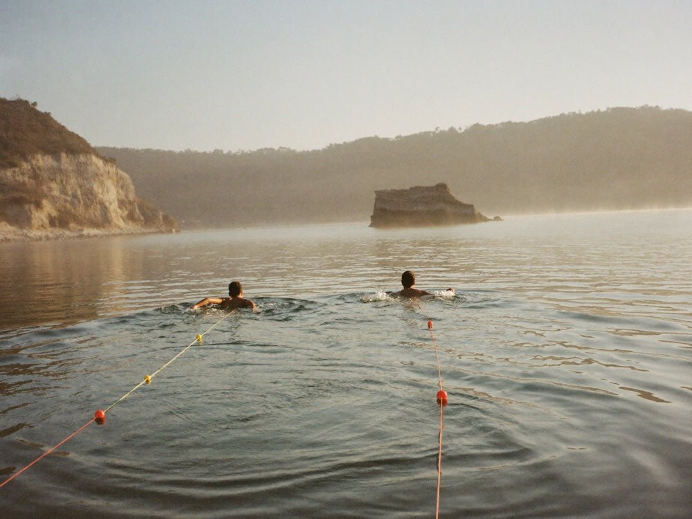 Guided swim holidays