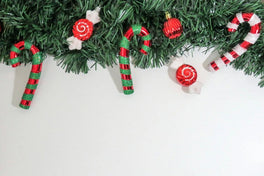 A sustainable holiday guide: Green gifts that don’t cost the earth