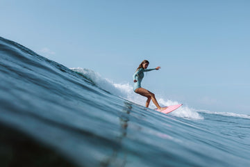 Accessories - WALLIEN