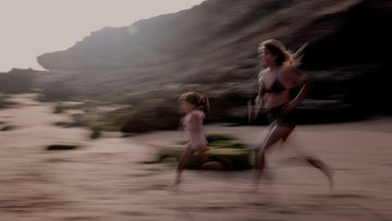 EARLY ACCESS - WALLIEN