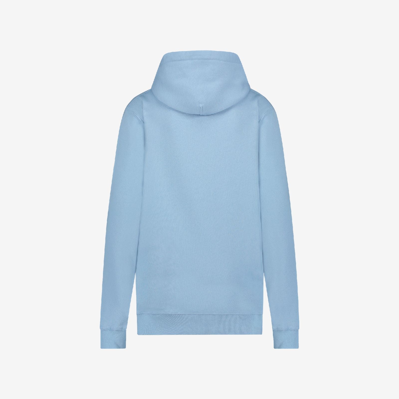 Back view of blue Ocean Hoodie in soft brushed cotton with relaxed fit and hood detail, on a white background
