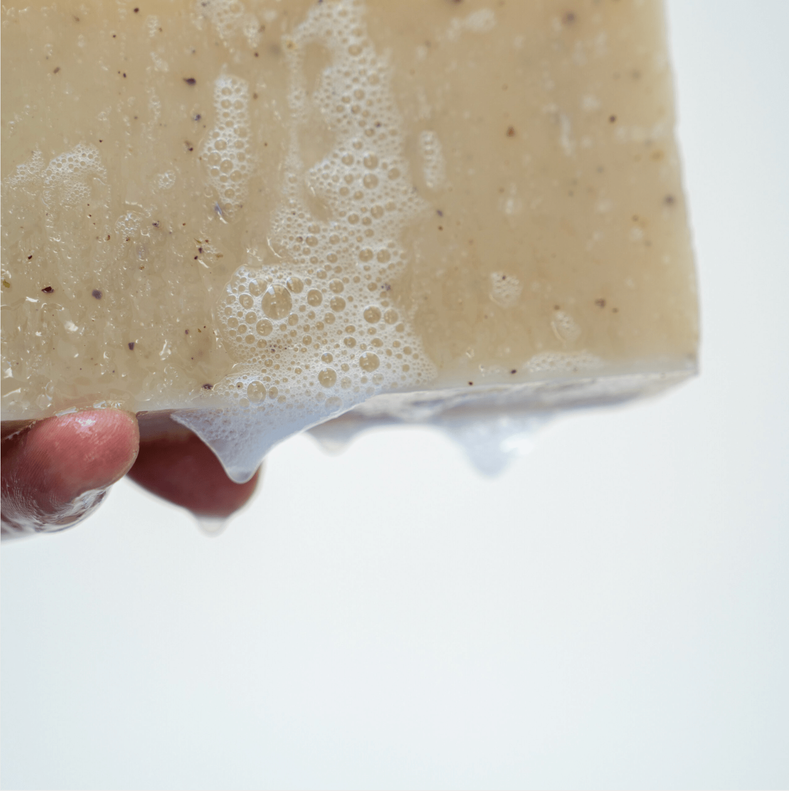 Haeckels Exfoliating Seaweed Block - WALLIEN