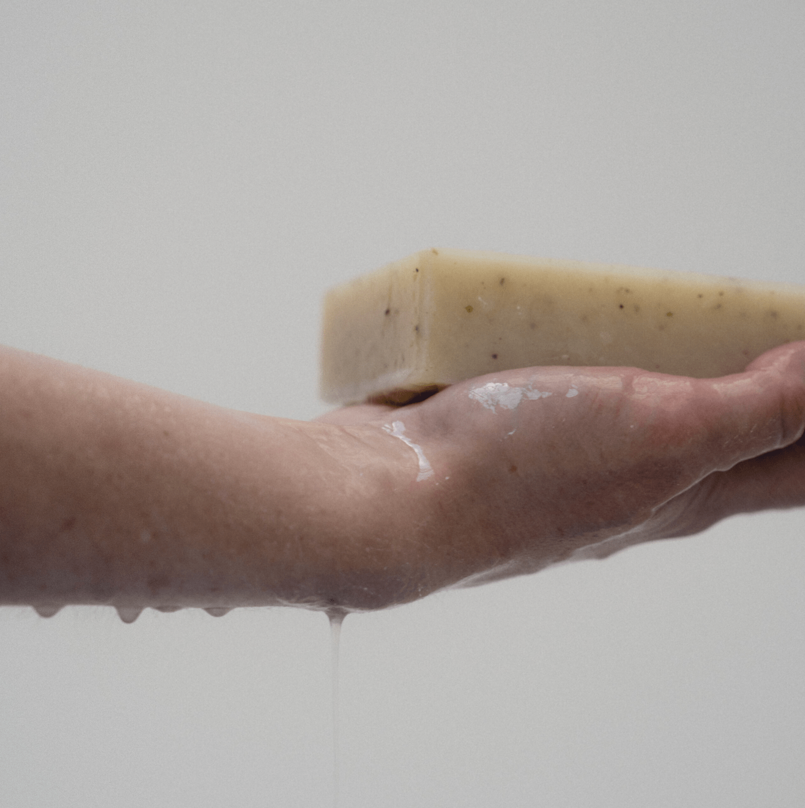 Haeckels Exfoliating Seaweed Block - WALLIEN