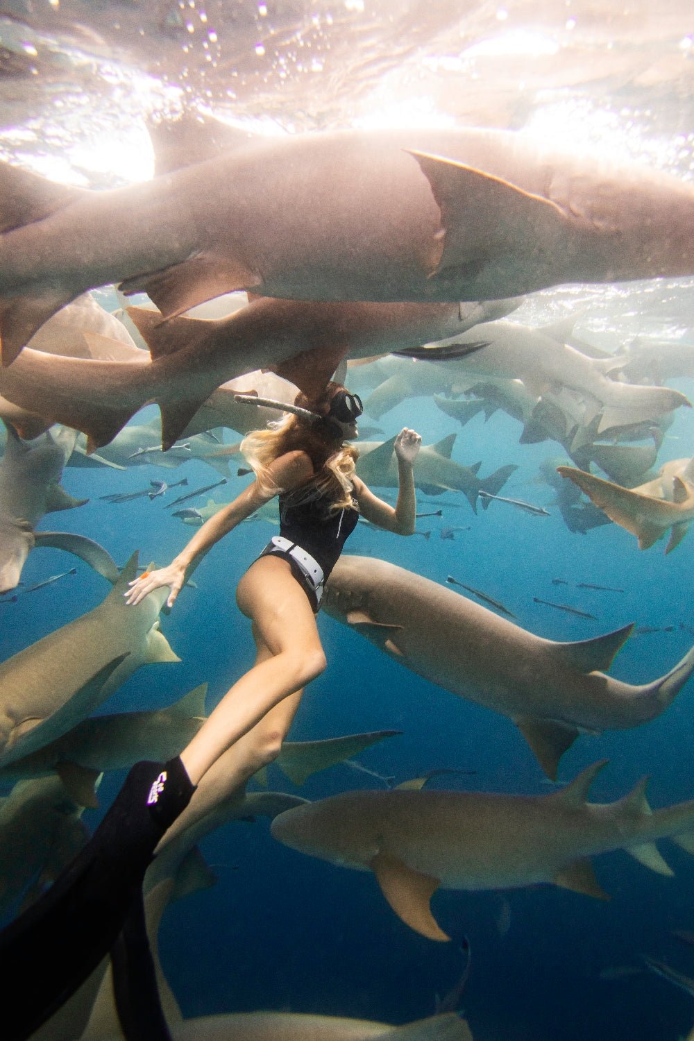Woman freediving in full coverage black swimsuit among reef sharks, with sunlit ocean surface and marine life behind her