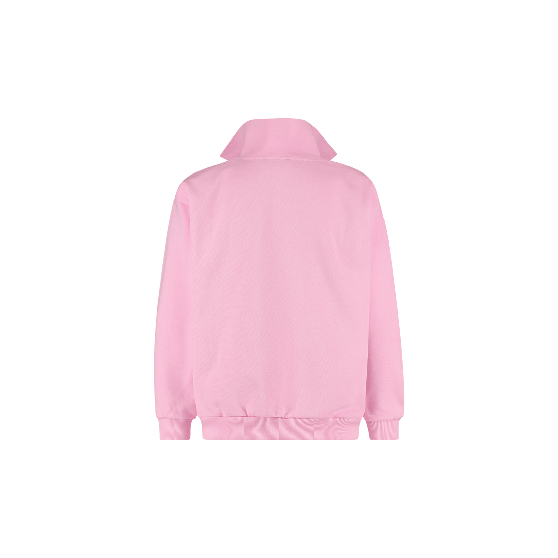 Passion pink women’s polo sweater with ribbed hem and collar, long sleeves, cotton knit texture on transparent background