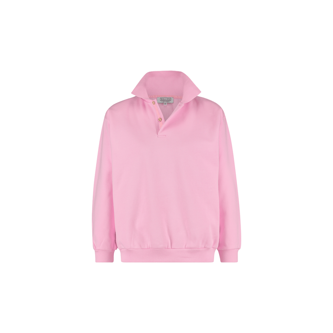 Passion pink women’s polo sweater with ribbed hem and collar, long sleeves, cotton knit texture on transparent background